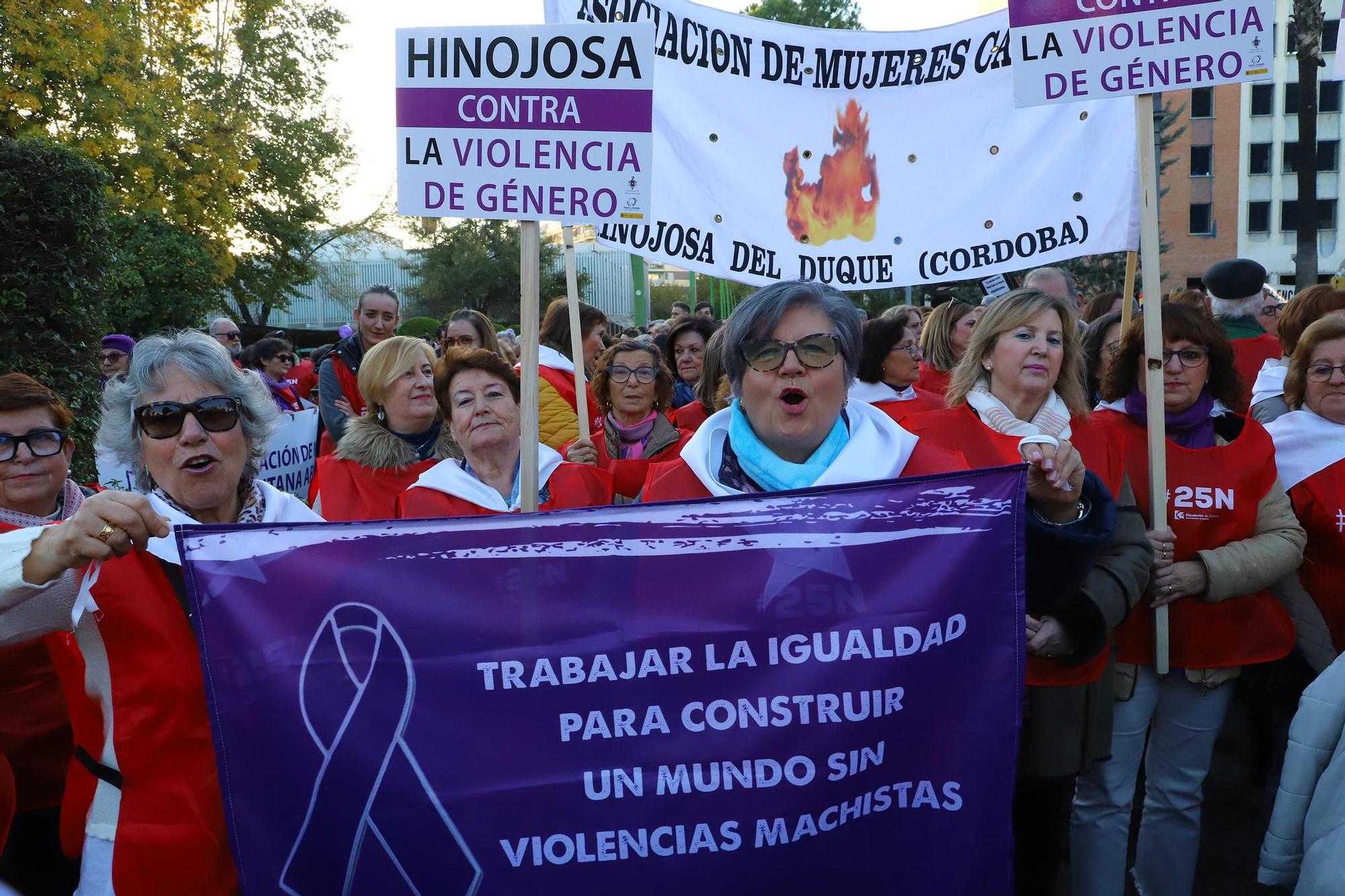 Miles de cordobeses claman contra la violencia machista