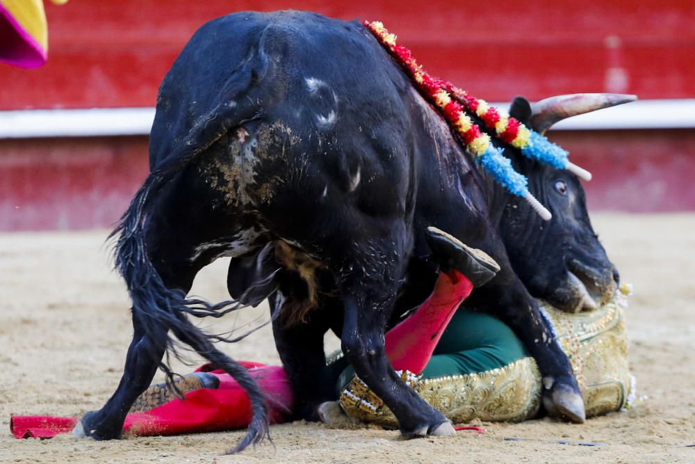 Novillada del día 12 de marzo