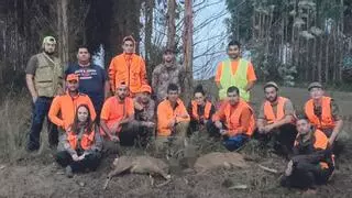 Cuando viene el lobo