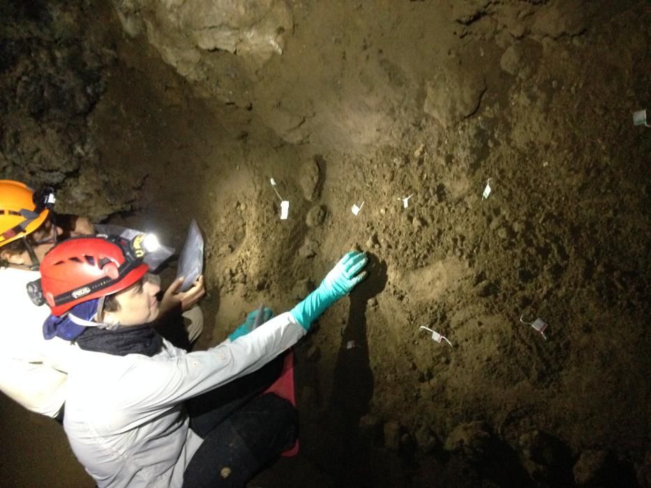 Investigación en el Teide con bolsitas de té