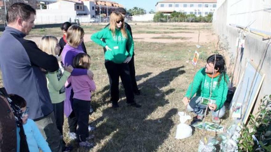 «Almassora en Acció» realiza un taller de técnicas de plantación