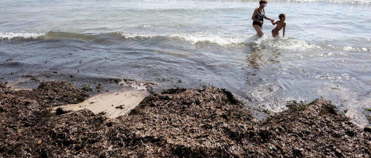Algas acumuladas ayer en la playa de San Juan fruto de los últimos temporales.