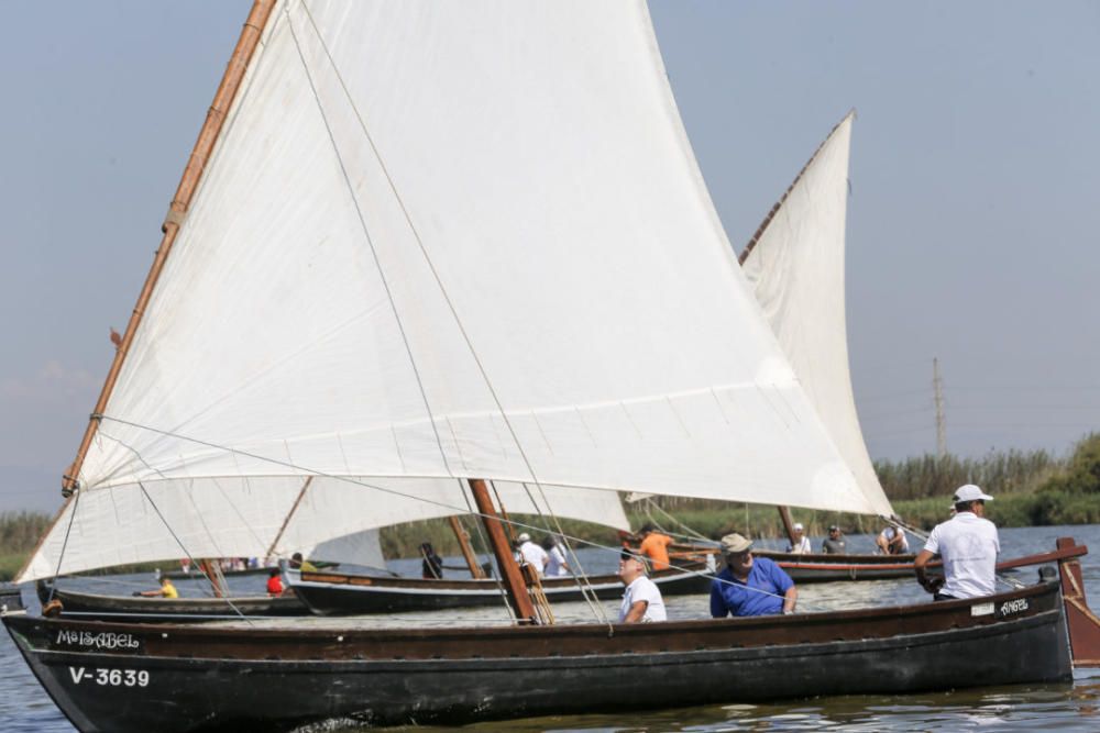 Regata-exhibición de vela latina en l'Albufera