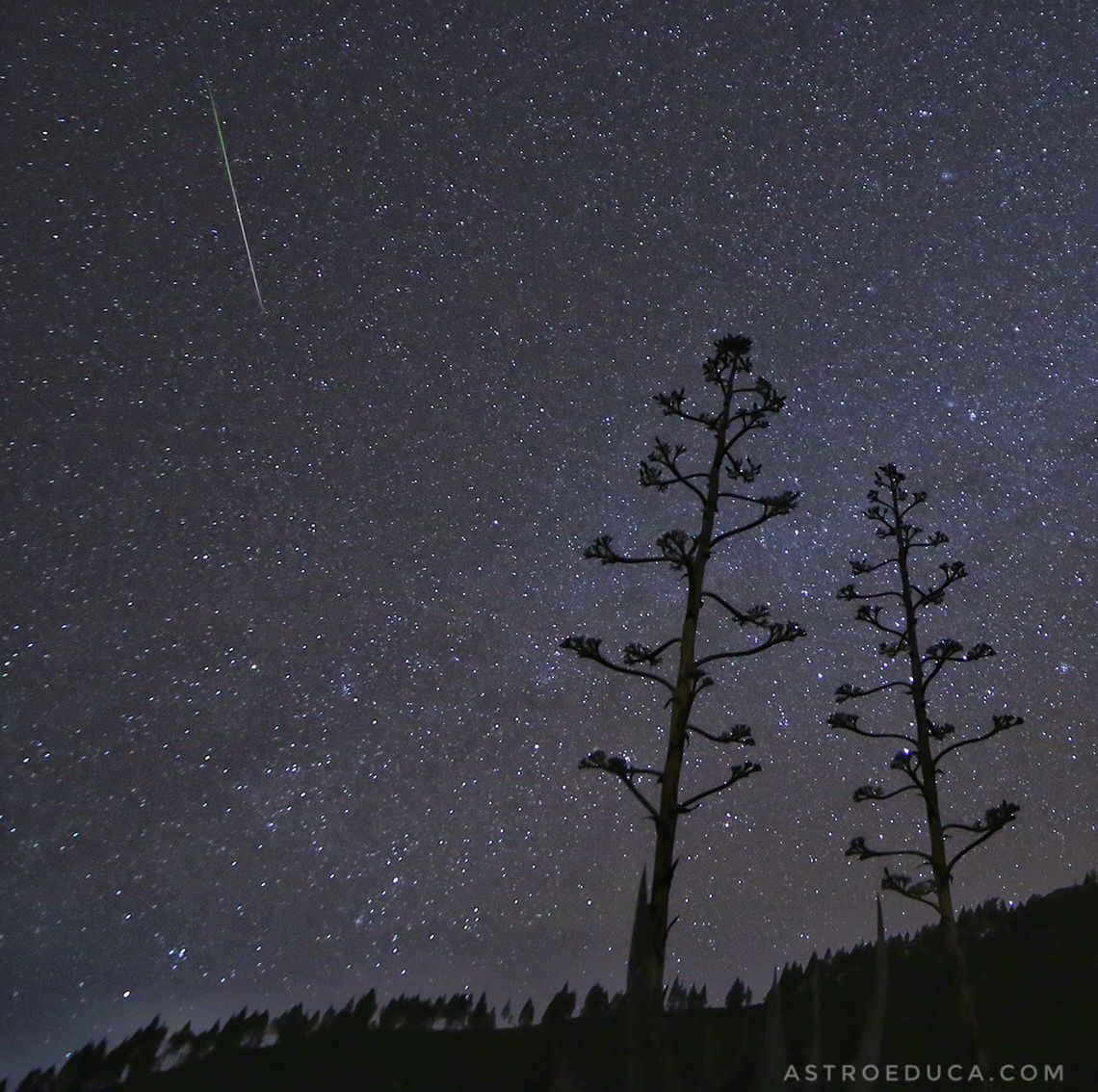 Gemínidas en la cumbre de Gran Canaria (12/12/2020)