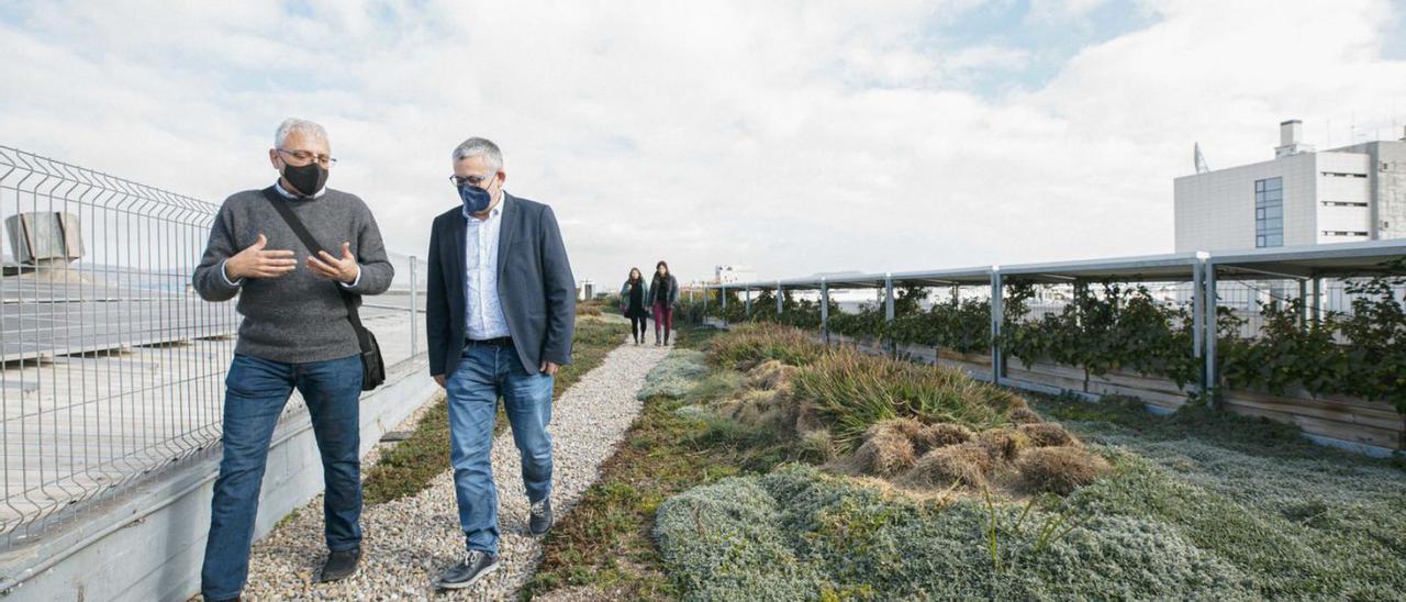 El concejal Alandete, a la derecha, en una terraza verde de la Zona Franca de Barcelona. | JORDI ESTEVAN