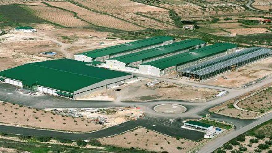 La empresa líder del sector avícola invierte 13 millones y crea 30 puestos de trabajo en Aragón