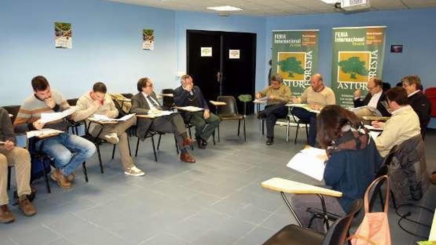 Reunión del comité organizador de Asturforesta.