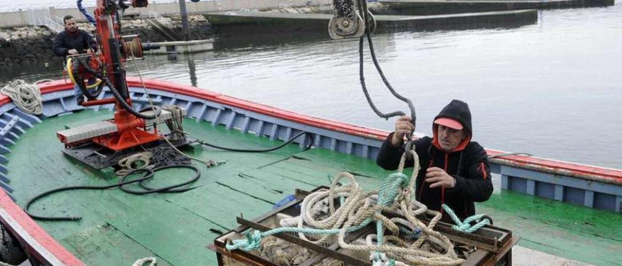 Descarga de ostra cultivada en batea, en el puerto de Cambados. // Noé Parga