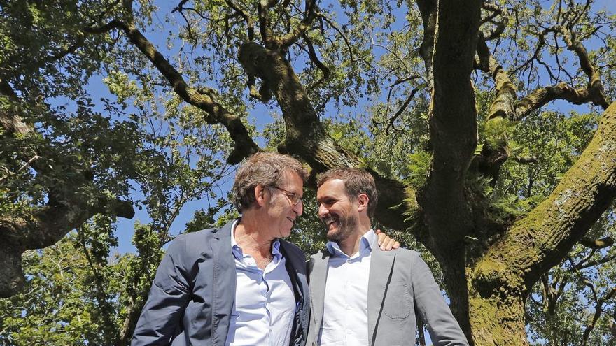 Núñez Feijóo descarta contar con Pablo Casado: &quot;Es incompatible con su actividad profesional&quot;