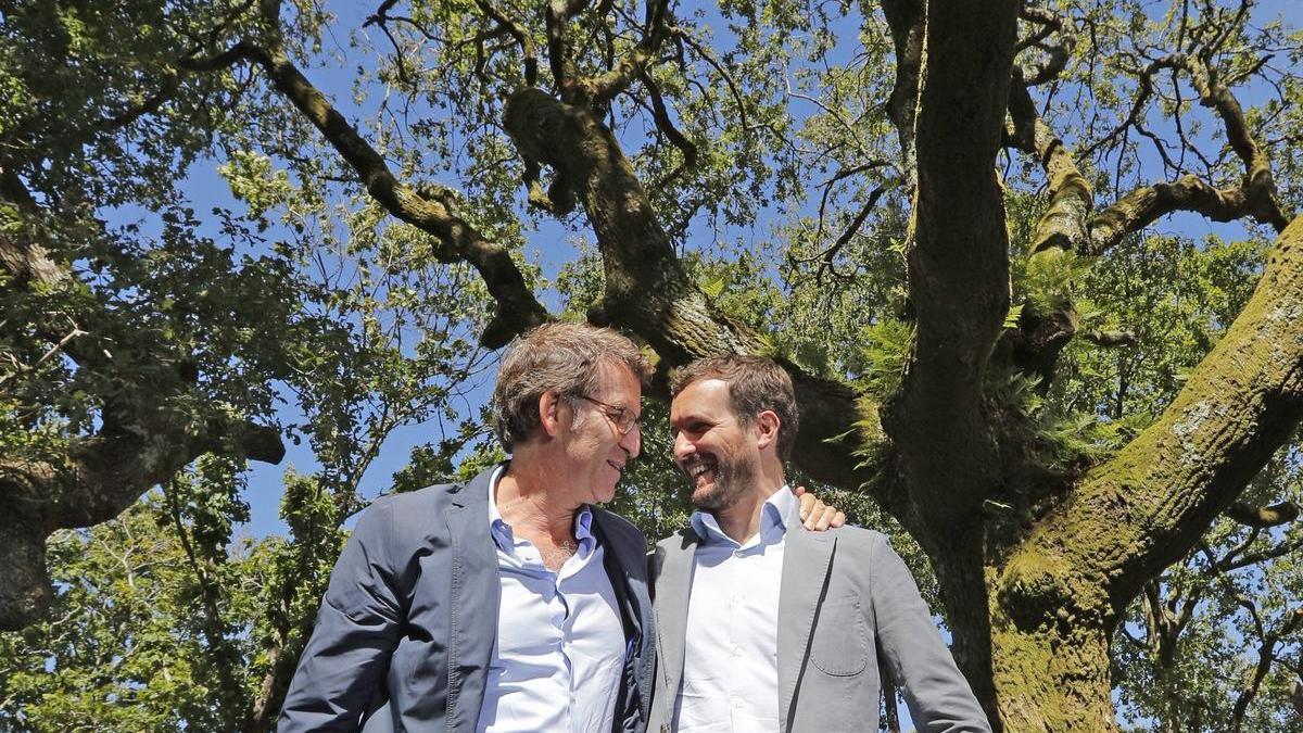 El presidente del PP, Pablo Casado, y el presidente de la Xunta de Galicia, Alberto Núñez Feijóo, en un acto en Cerdedo (Pontevedra).