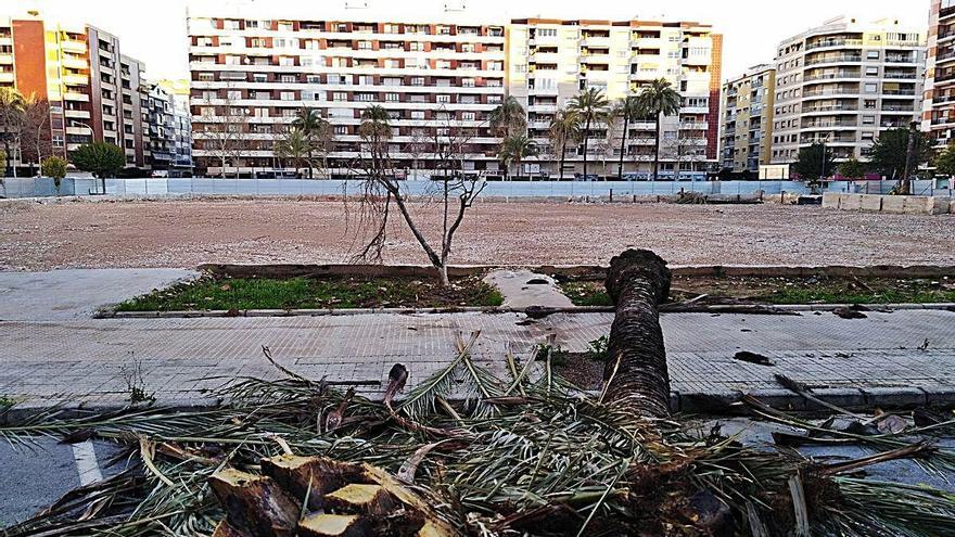 El solar de Roís de Corella donde se levantará el complejo.