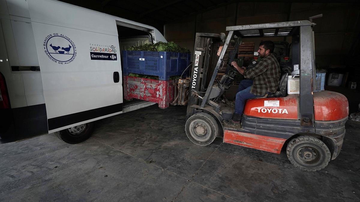 Desde abril pasado, más de cincuenta toneladas de productos de temporada han llegado al Banco de Alimentos de Córdoba.