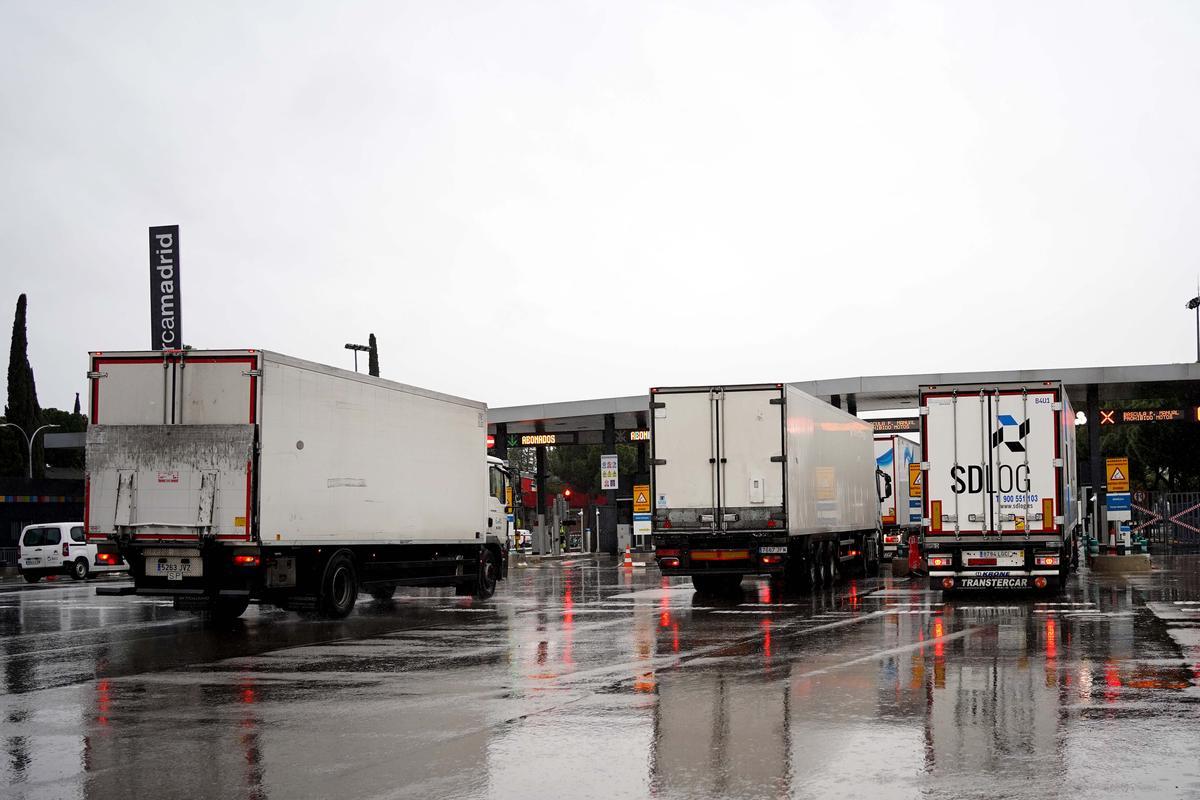 ¿Per què és la vaga del transport? Aquestes són les reivindicacions dels camioners