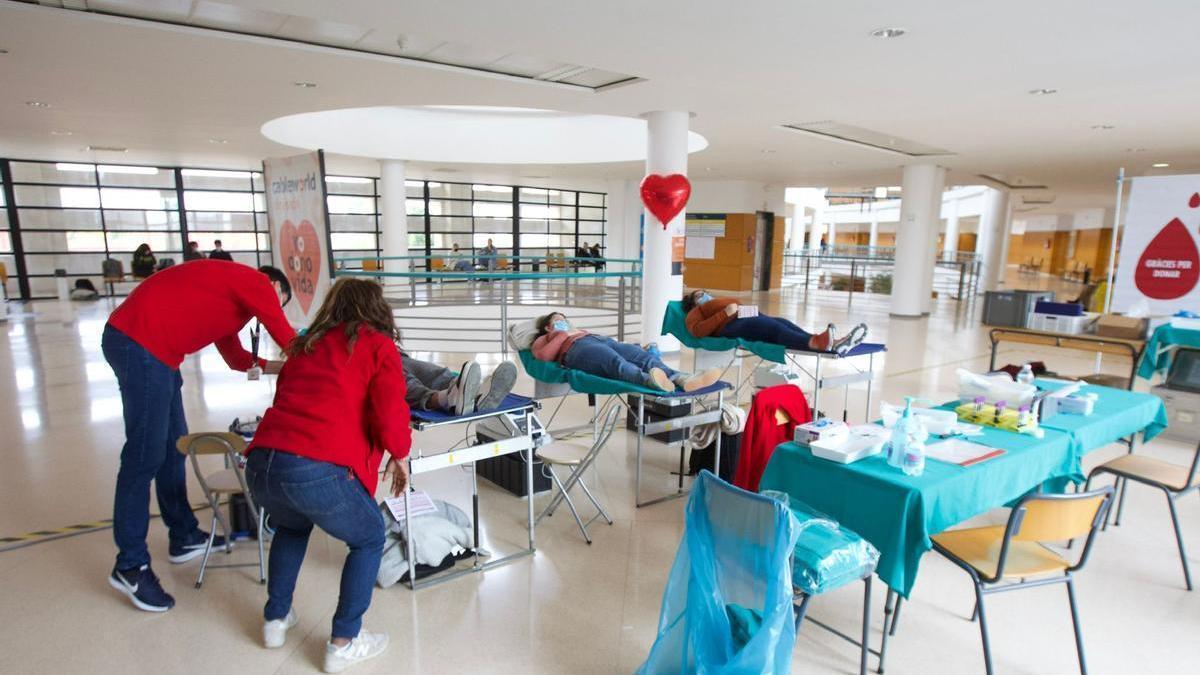 Donación de sangre y médula en la UA