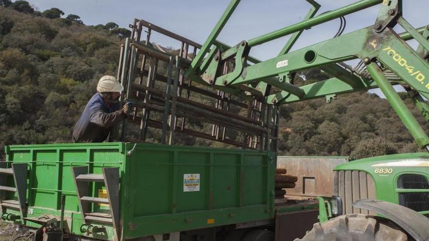 La empresa de la mina de Cáceres anuncia alegaciones a la paralización de los sondeos