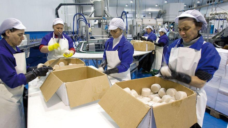 Trabajadoras de una conservera gallega procesando atún.