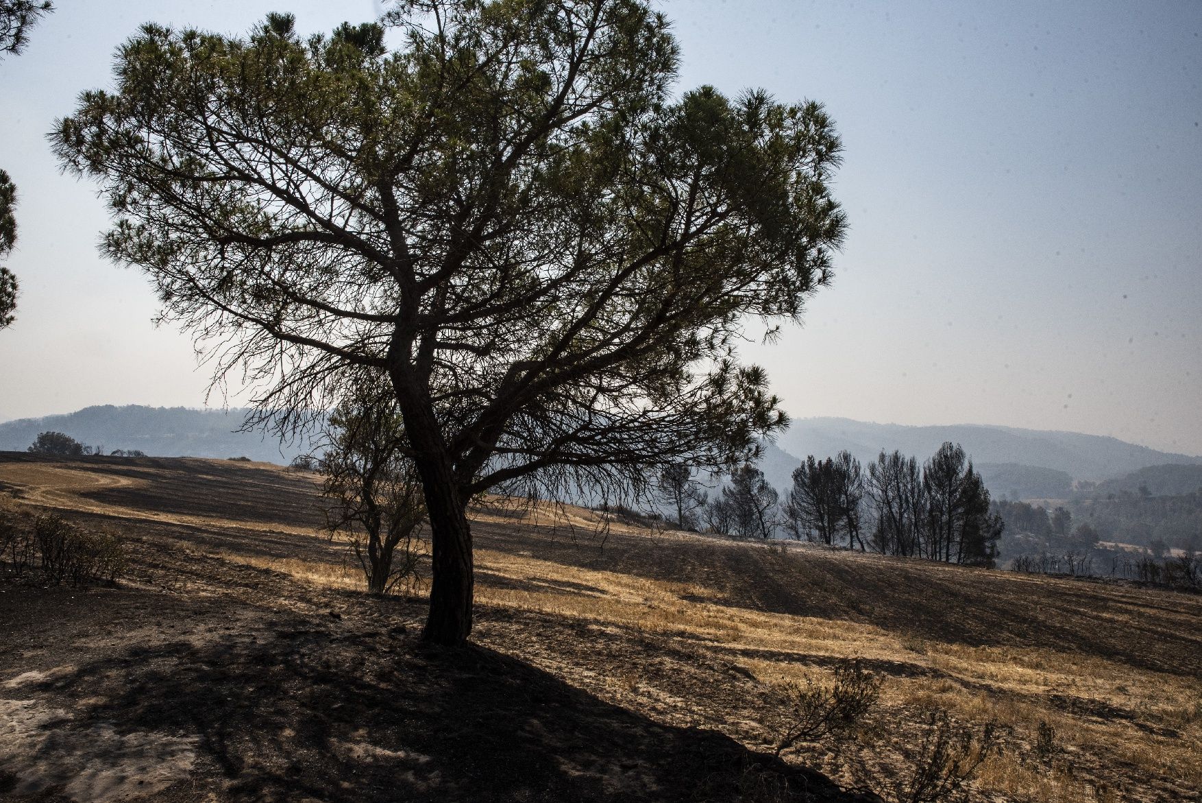 Afectació per l'incendi a la urbanització de les Brucardes