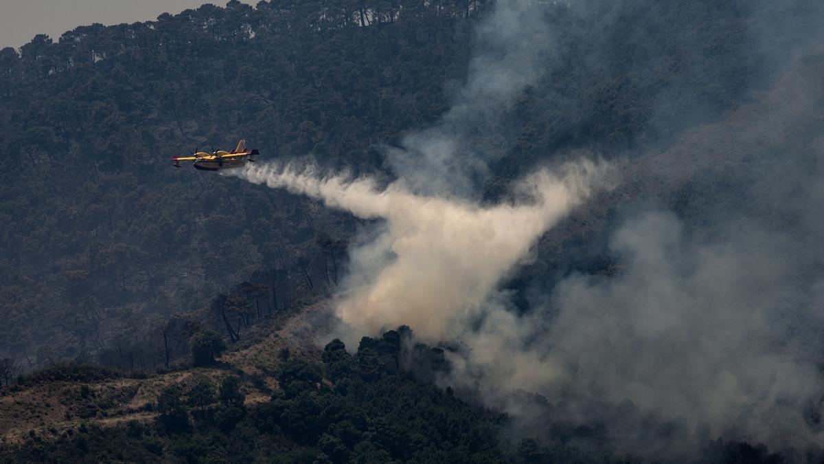 Más de 2.000 hectáreas arrasadas en el incendio de Sierra Bermeja