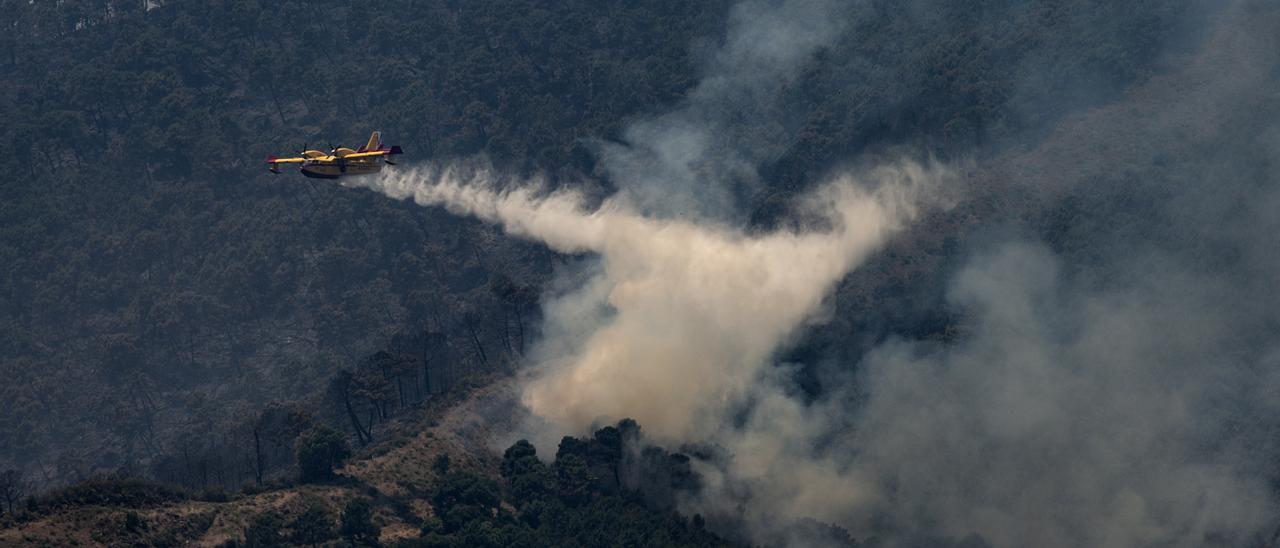 Más de 2.000 hectáreas arrasadas en el incendio de Sierra Bermeja