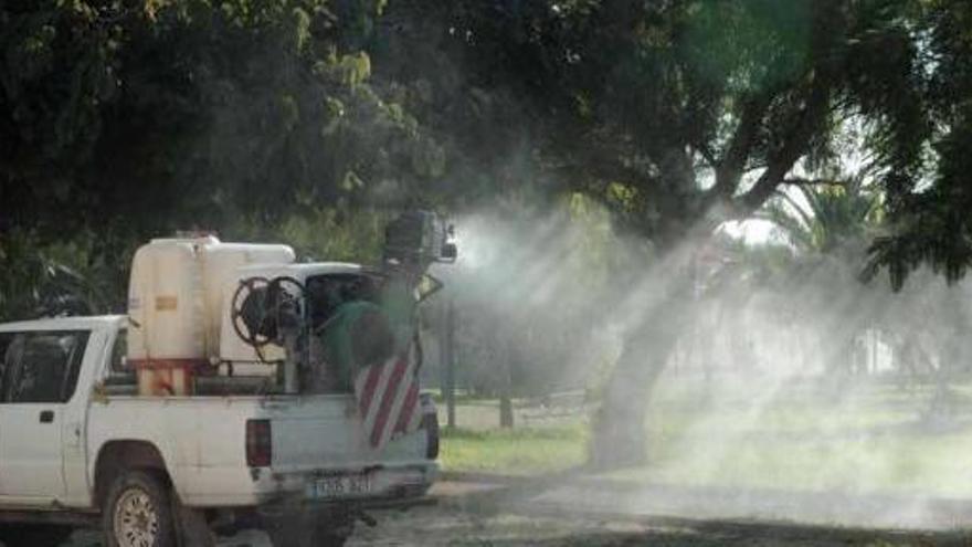 Actuación de fumigación contra el mosquito común junto a la laguna de Torrevieja.