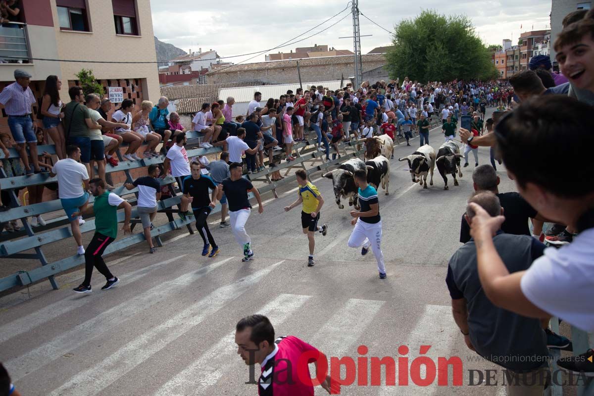 Primer encierro de la Feria del Arroz de Calasparra