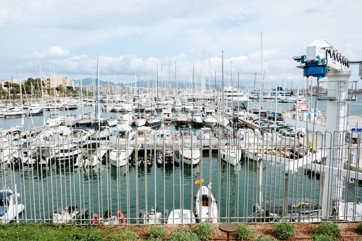 251010DMA_Bernardo A (225269471).jpg