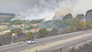 ¿Por qué la ola de incendios se ceba con el oeste y el interior peninsular?: "Es una anomalía"