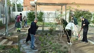 La transformación de la FP: Barcelona forma a jardineros preparados para sequías