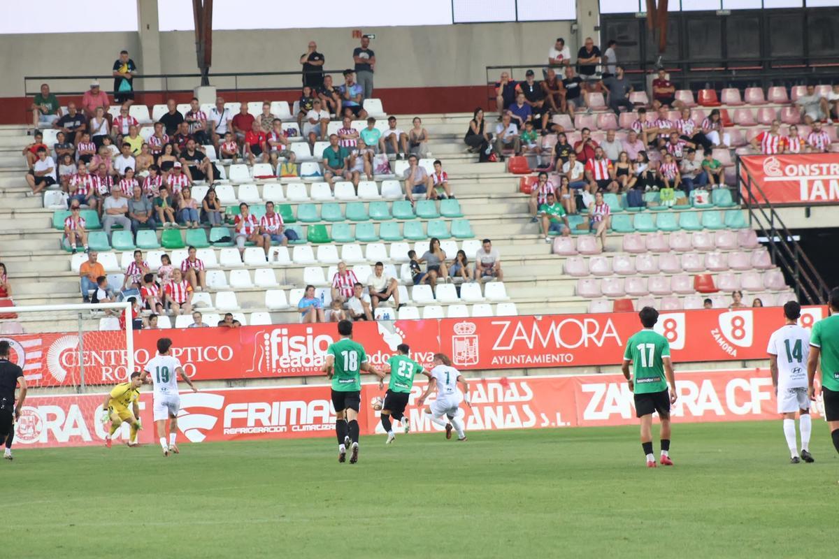 GALERÍA | El empate del Zamora CF, en imágenes