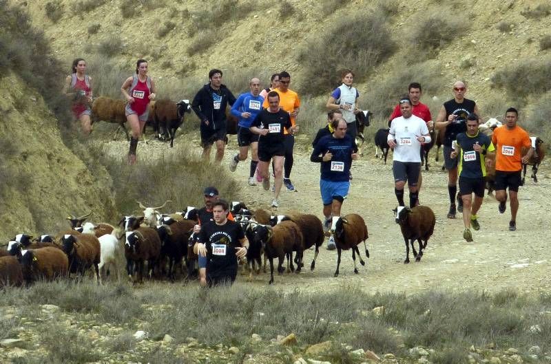 Fotogalería de la Carrera del Ebro