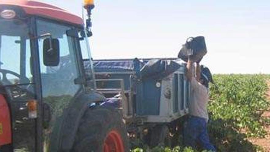 Abierto el plazo para solicitar las ayudas al plan renove de tractores y maquinaria agrícola en Extremadura