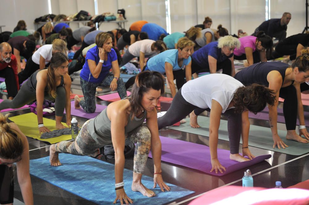 V Congreso de Yoga en Elche