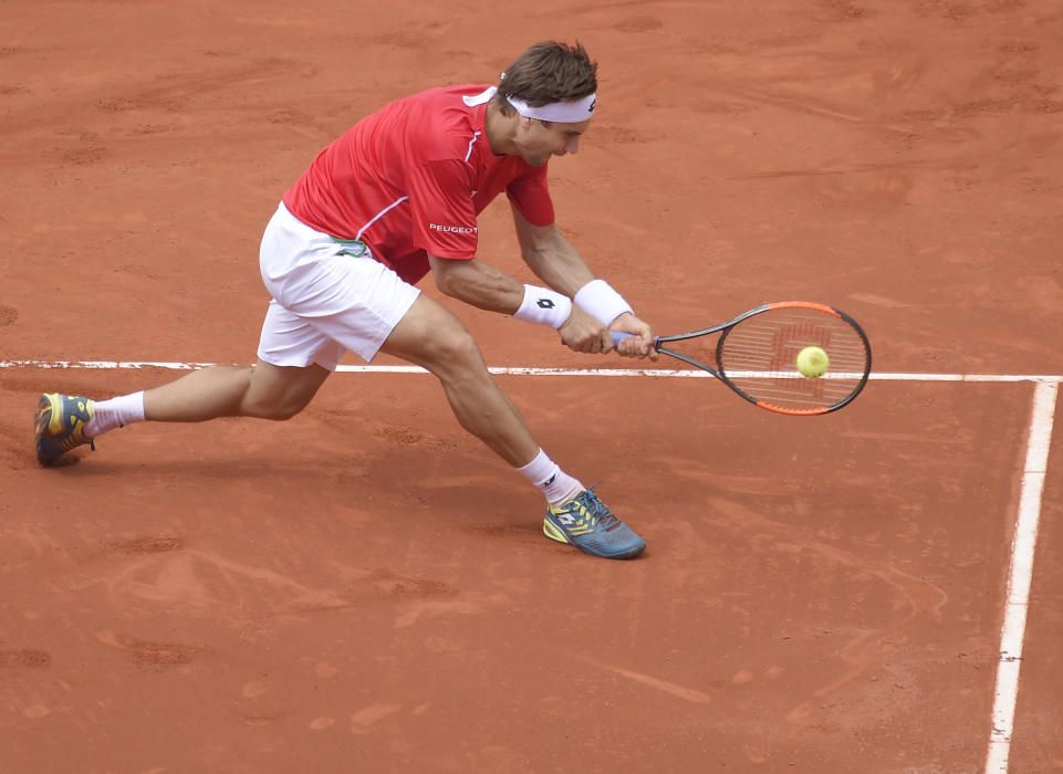 Copa Davis: David Ferrer - Philipp Kohlschreiber