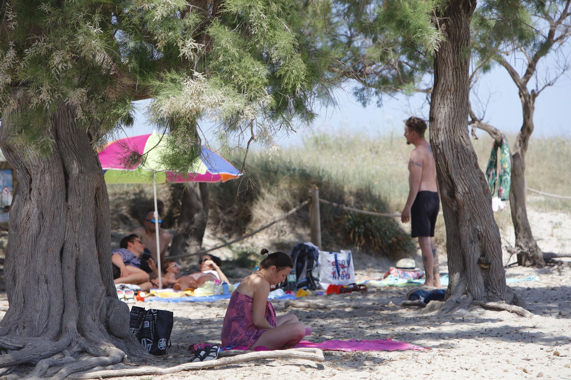 Son Serra de Marina auf Mallorca: Urlaubsfeeling am Naturstrand ohne Massenabfertigung