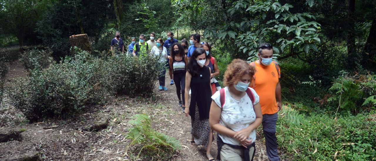 Una ruta de senderismo en la comarca.