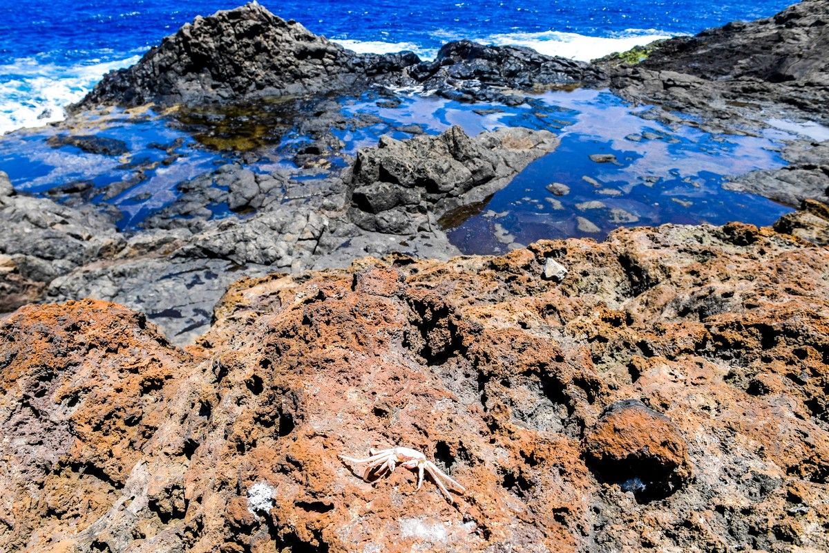 Charcos de marea de Gran Canaria