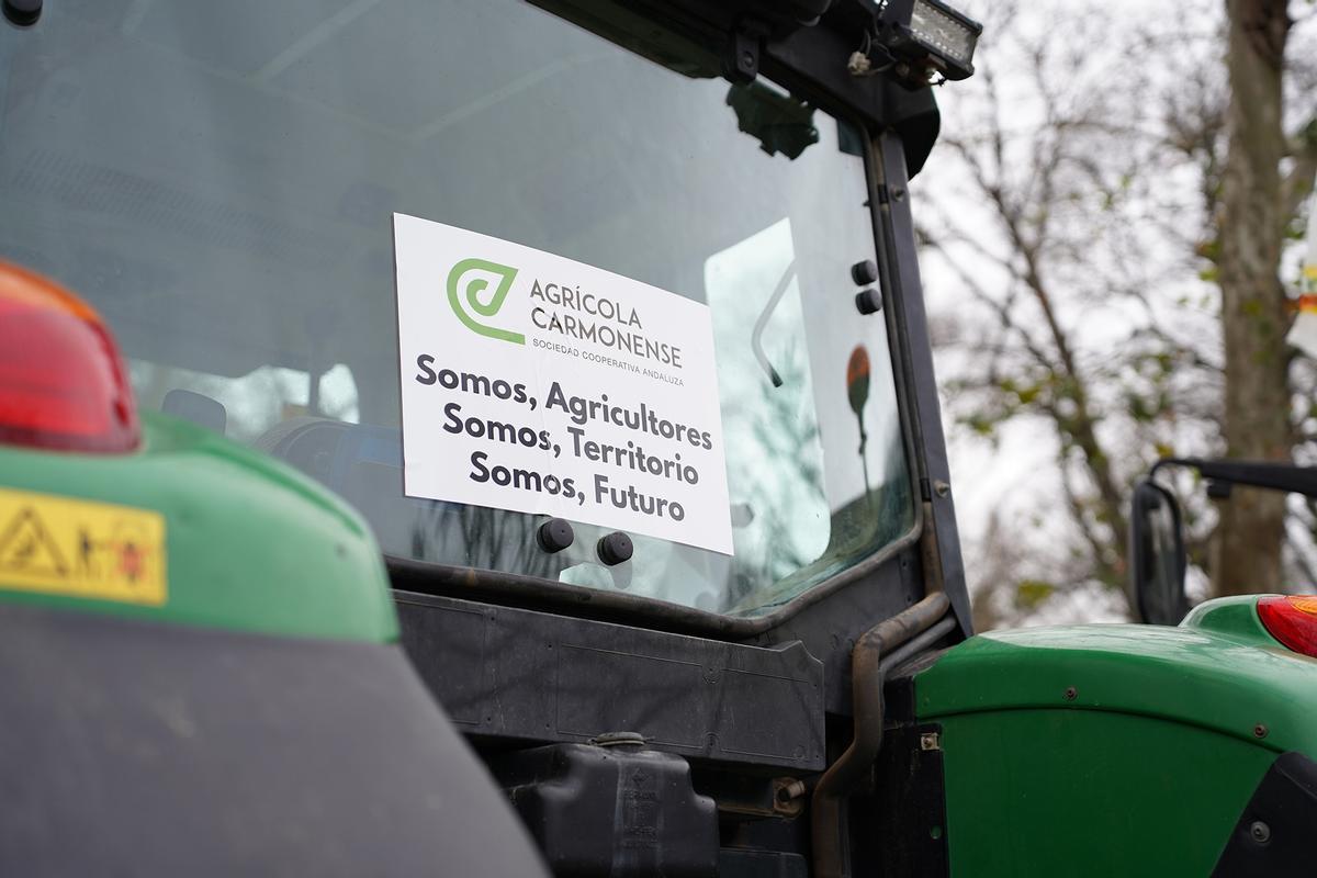 Protestas en la Plaza de España. Protestas en la Plaza de España.