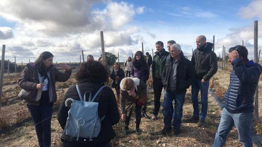 Jornada formativa sobre frutos rojos