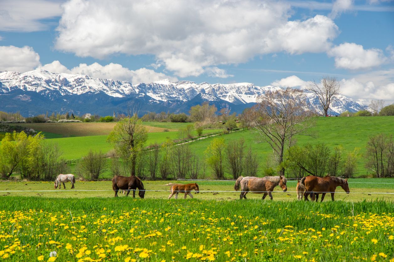 Tiempo soleado en los campos de la Cerdanya.