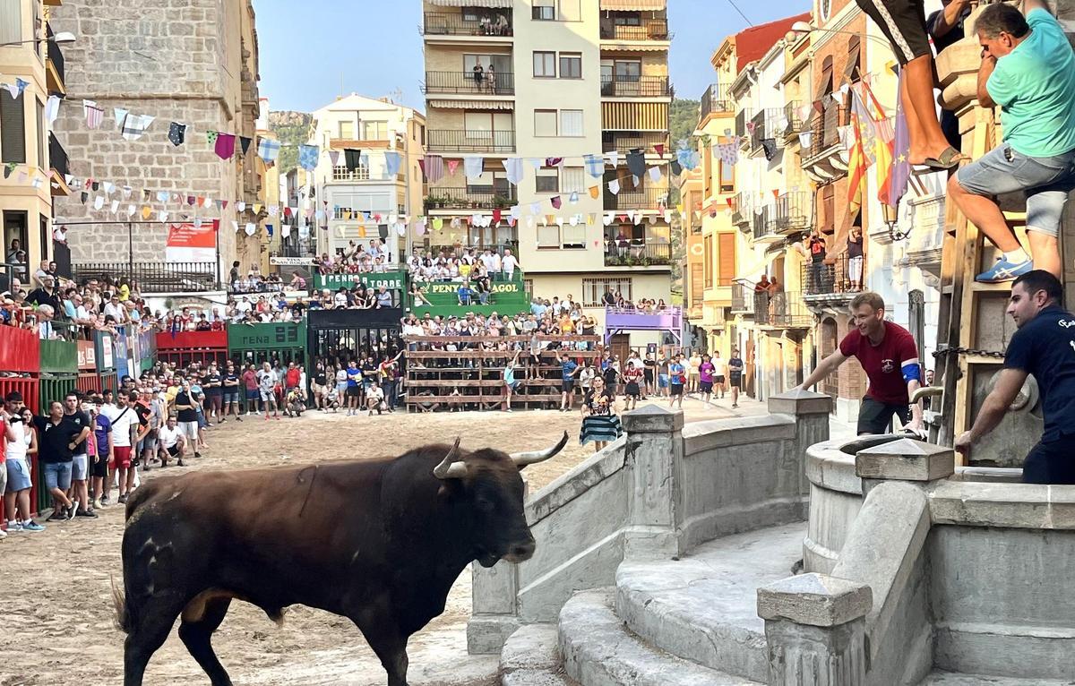 La exhibiciones de reses reunirán a los aficionados taurinos.