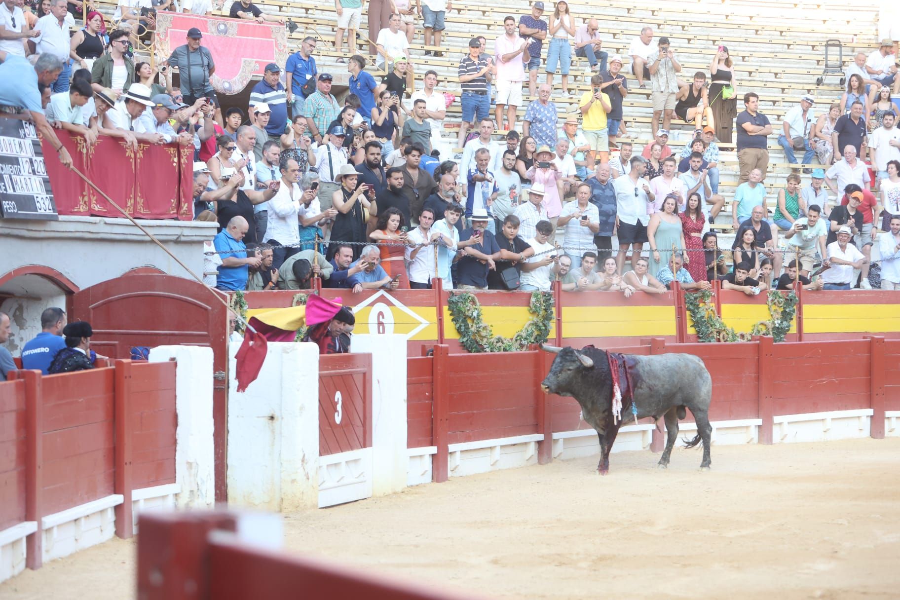 Así ha sido la tarde de Toros de Victorino Martín para Manuel Escribano, en solitario, en Alicante
