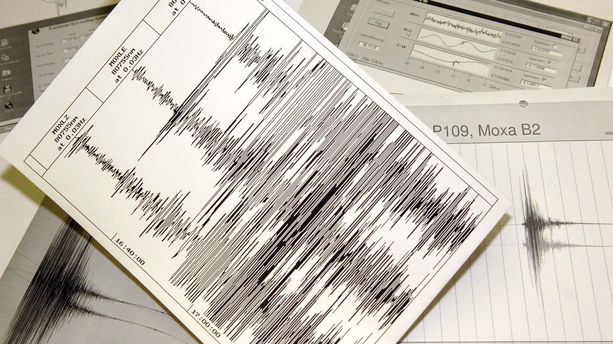 Imagen sismográfica del temblor.