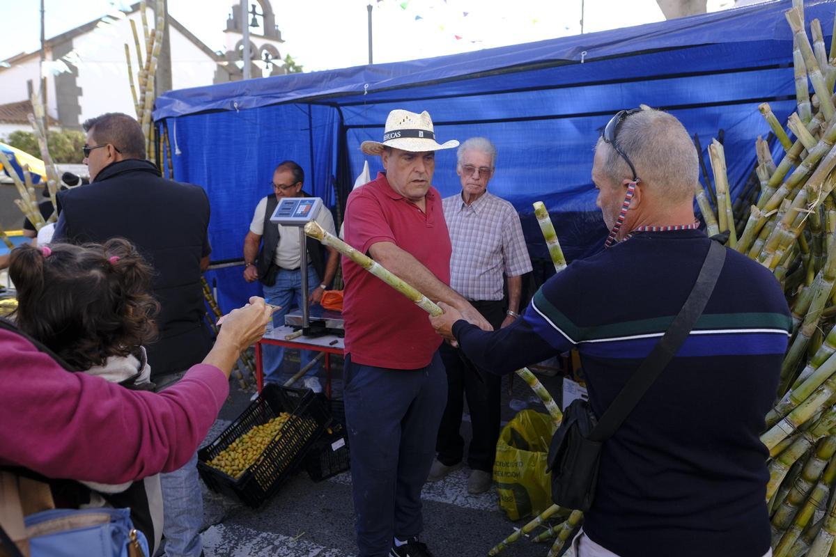 La Fiesta de la Inmaculada en Jinámar