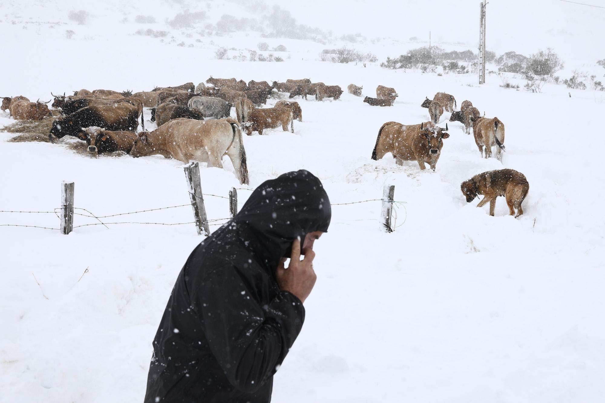 El Puerto de Somiedo, bajo la nevadona “de noviembre a marzo”