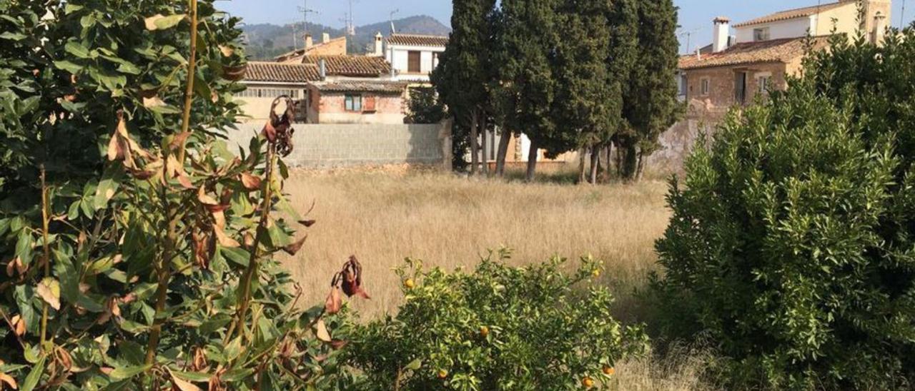 Solar anexo a la Casa Abadía. | LEVANTE-EMV