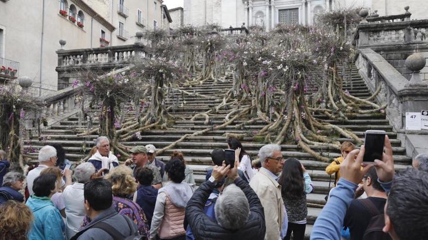 Girona cancel·la Temps de Flors pel coronavirus