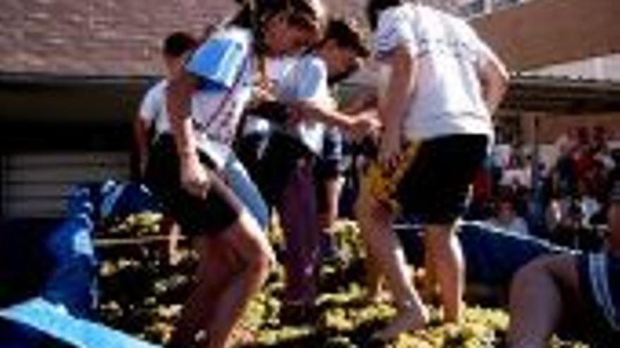 Los alumnos pisan la uva en el instituto de Arroyo de San Serván