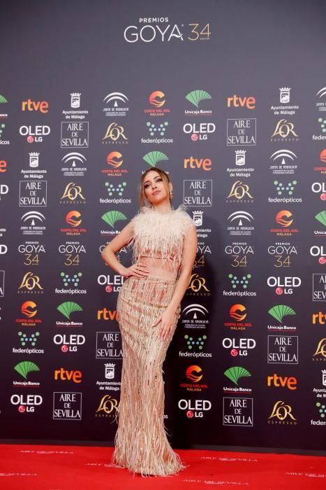 Alfombra roja de los Premios Goya 2020.