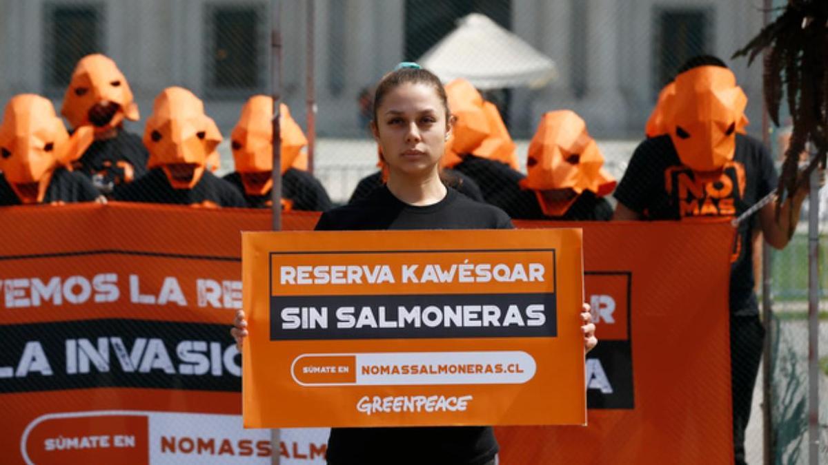 Una docena de activistas de Greenpeace disfrazados de salmón se encierran en una jaula, instalada frente al palacio presidencial La Moneda, en el centro de Santiago de Chile