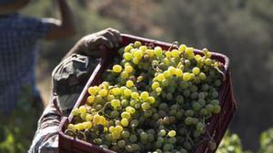 Granges petites contra l’«engany al consumidor»